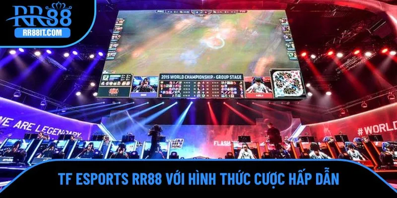 Đa dạng hình thức cược hấp dẫn được hỗ trợ tại đây
